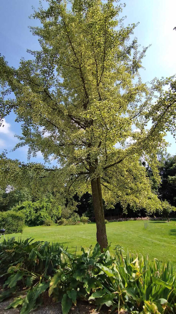 Domaine Celestins 450044041 1558402184746081 8435170246198231787 n