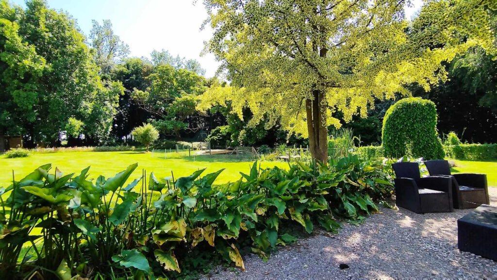 Domaine Celestins 451984510 896760232260038 6084449507657619062 n