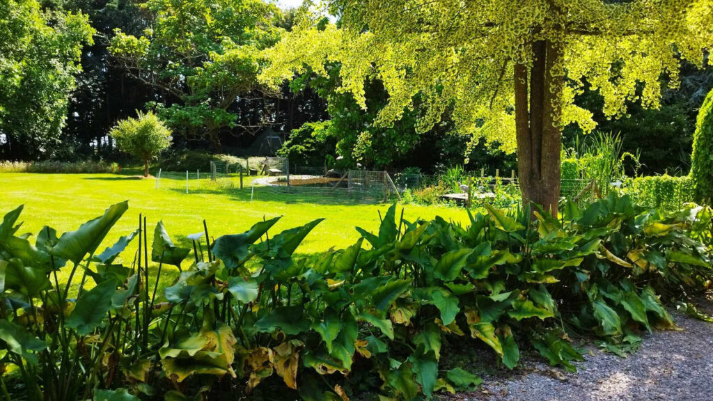 Domaine Celestins 452755181 514185214458683 714916129145053601 n