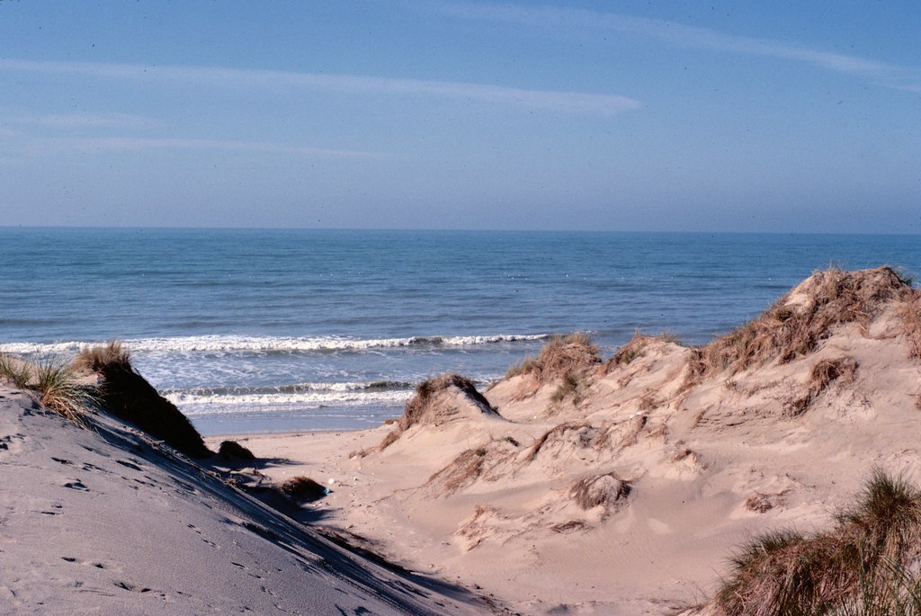 Activite proche des gites baie de somme domaine des celestins