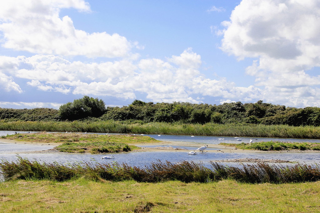 Activite proche des gites baie de somme domaine des celestins